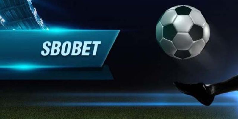 Sự nổi trong làng thể thao của Sbobet